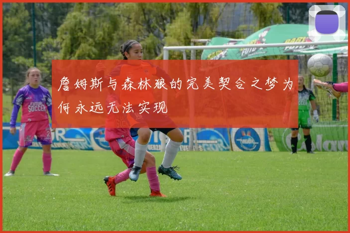 詹姆斯与森林狼的完美契合之梦为何永远无法实现