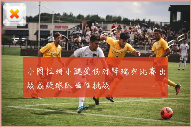 小图拉姆小腿受伤对阵瑞典比赛出战成疑球队面临挑战
